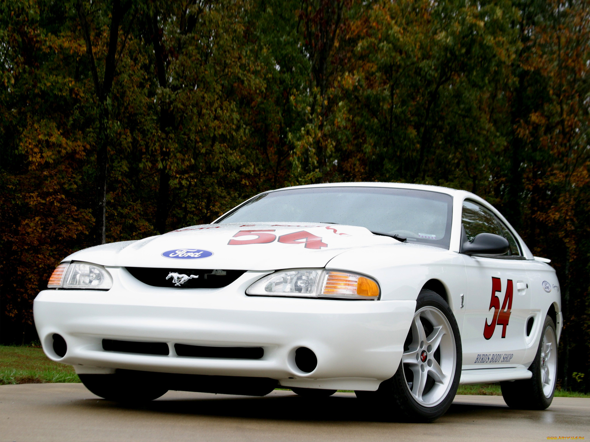 , mustang